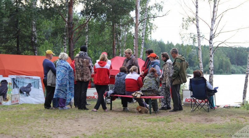 Фотография № 188291