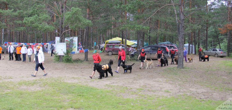 Фотография № 188292