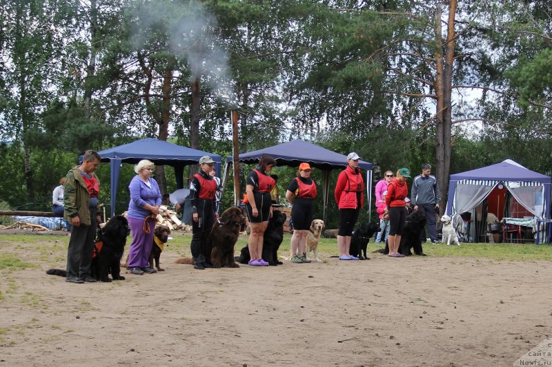 Фотография № 188294