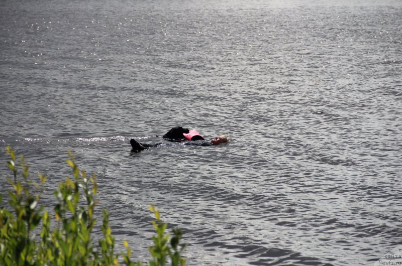 Фотография № 188299