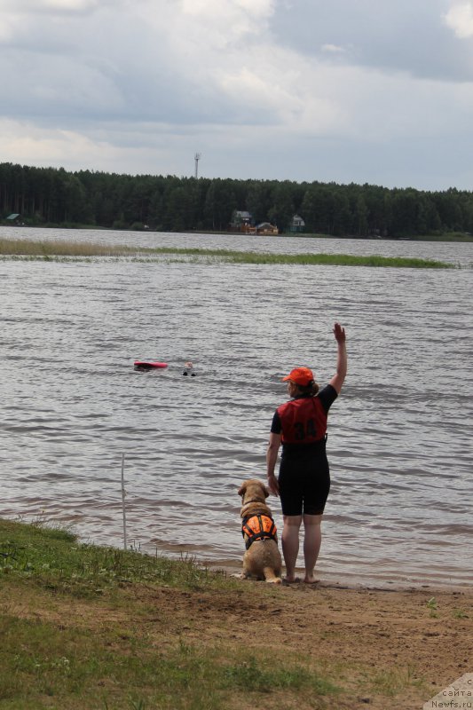 Фотография № 188300