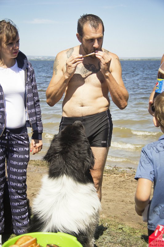 Фотография № 188303