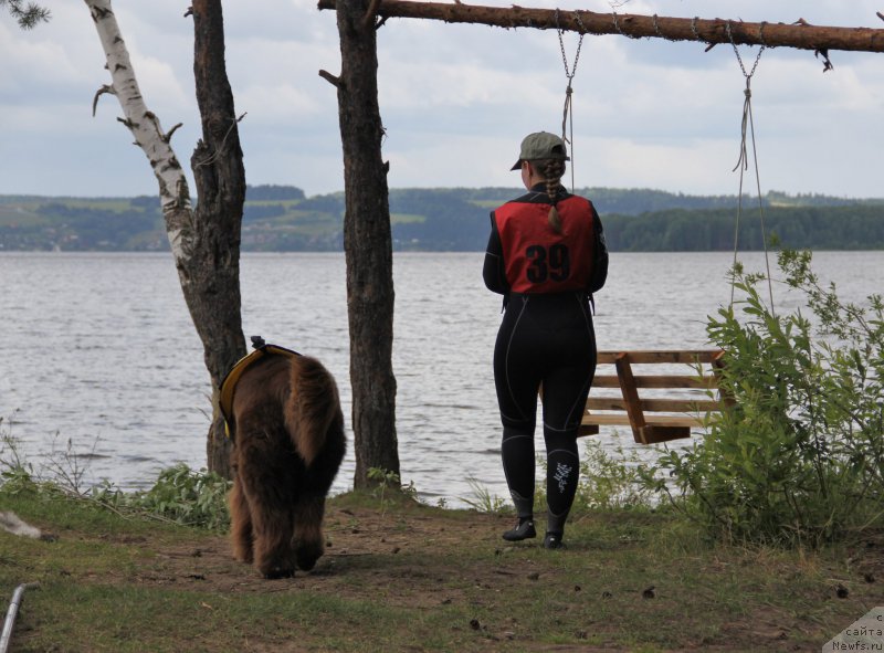 Фотография № 188304