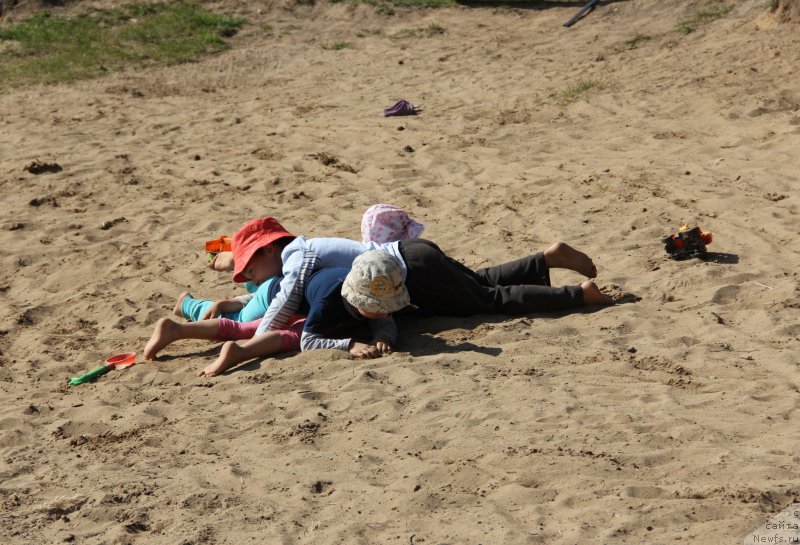 Фотография № 188305