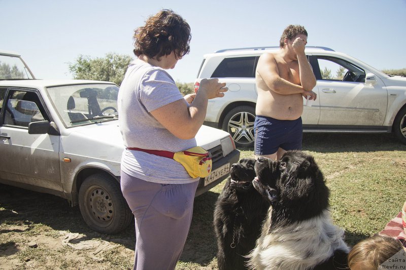 Фотография № 188310