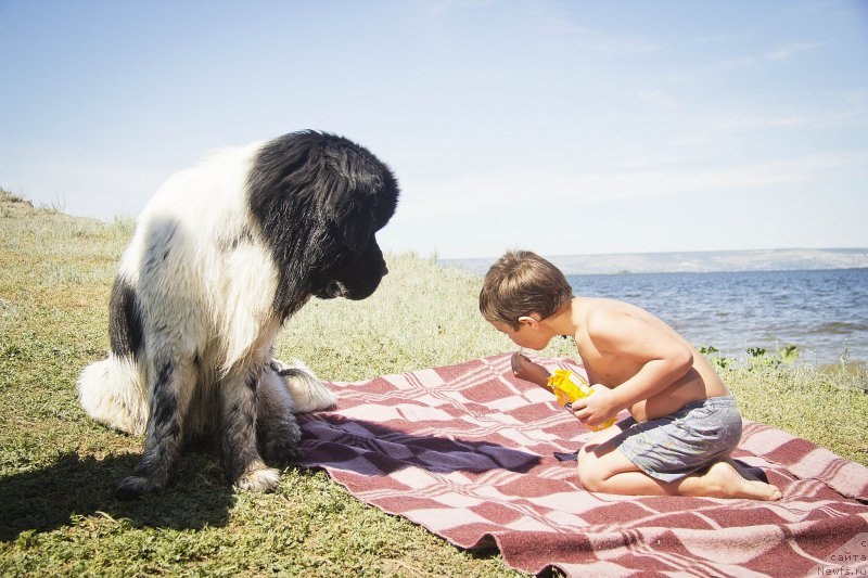 Фотография № 188312