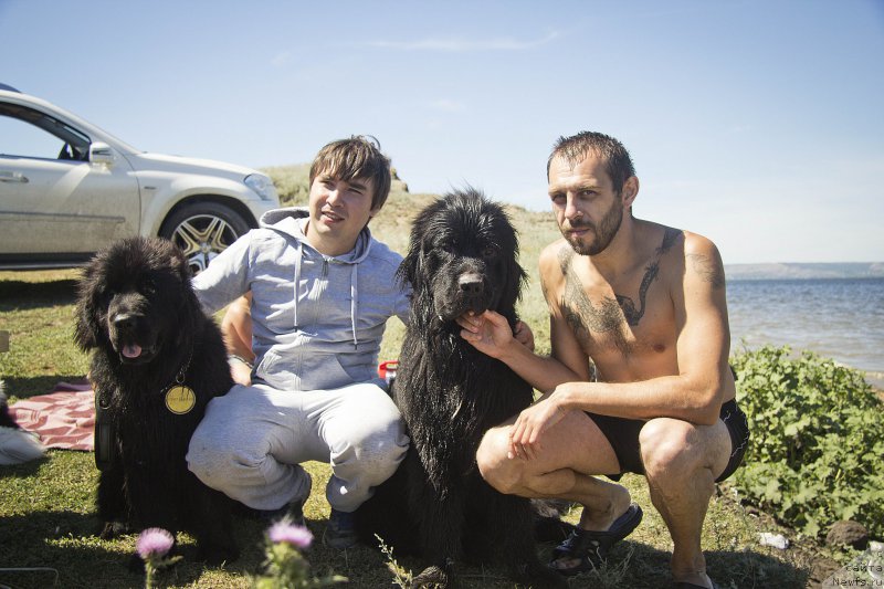 Фотография № 188313