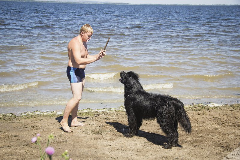 Фотография № 188314