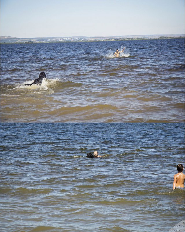 Фотография № 188315