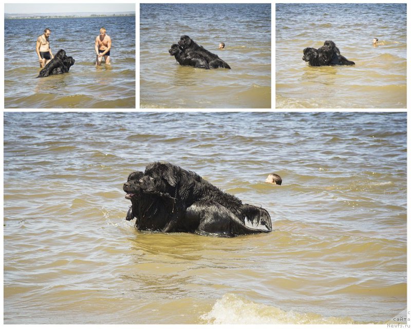 Фотография № 188317