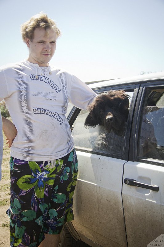 Фотография № 188319