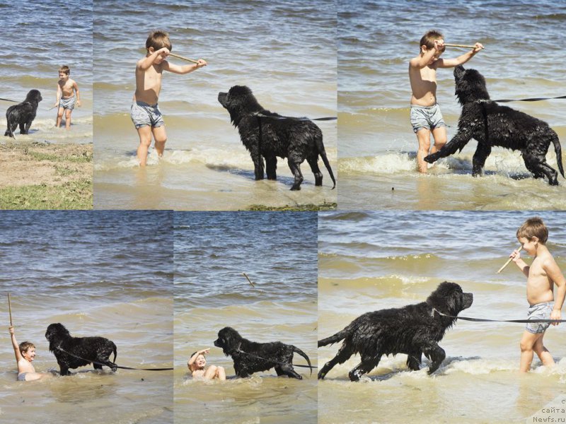 Фотография № 188322