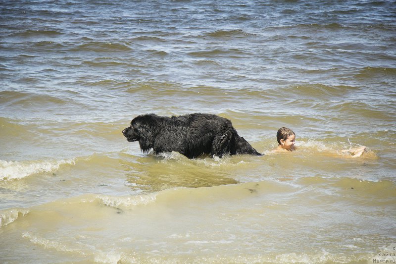 Фотография № 188324