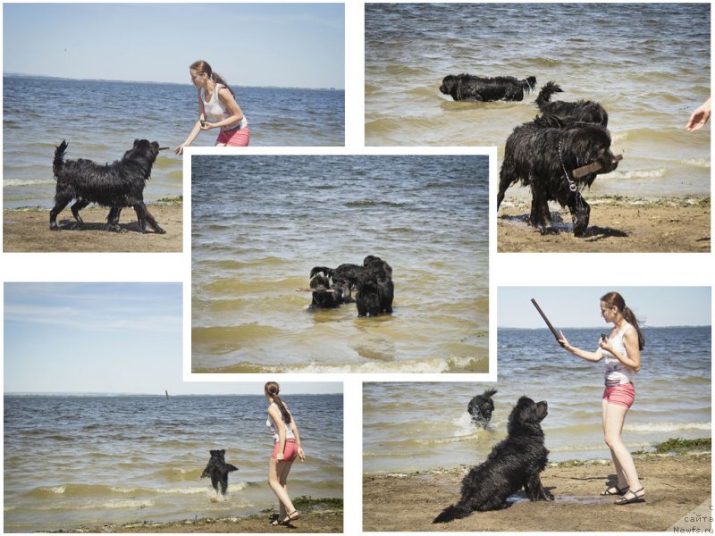 Фотография № 188325