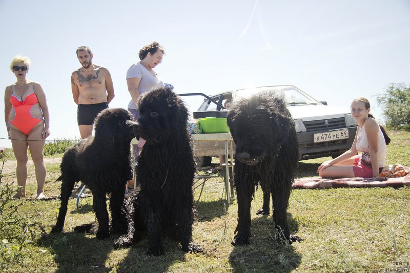 Фотография № 188328