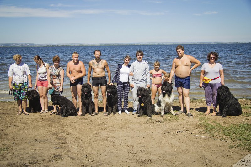 Фотография № 188332