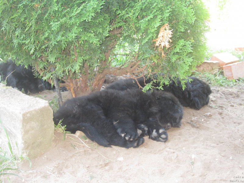Фото: Наталья Смазчикова