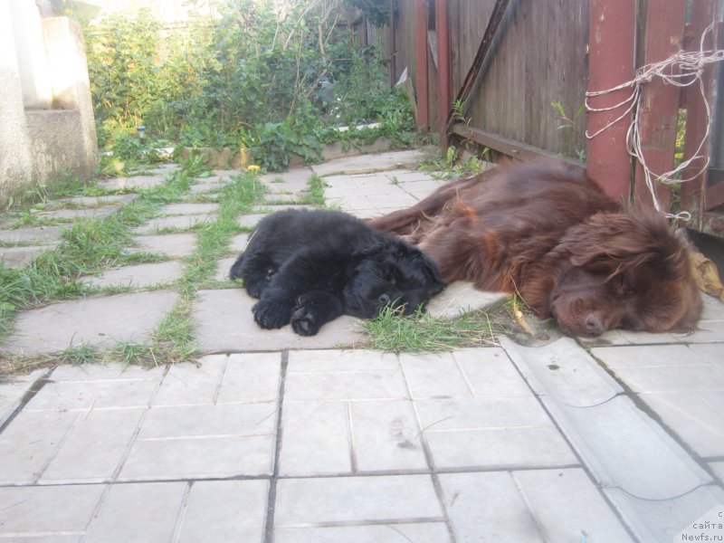 Фото: Наталья Смазчикова