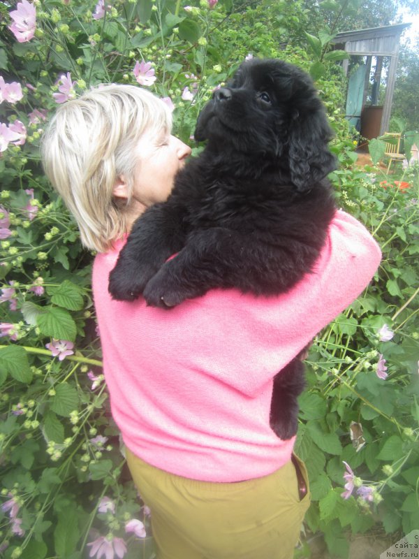 Фото: Наталья Смазчикова