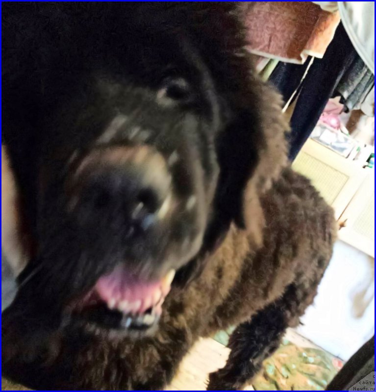 Фотография № 188341