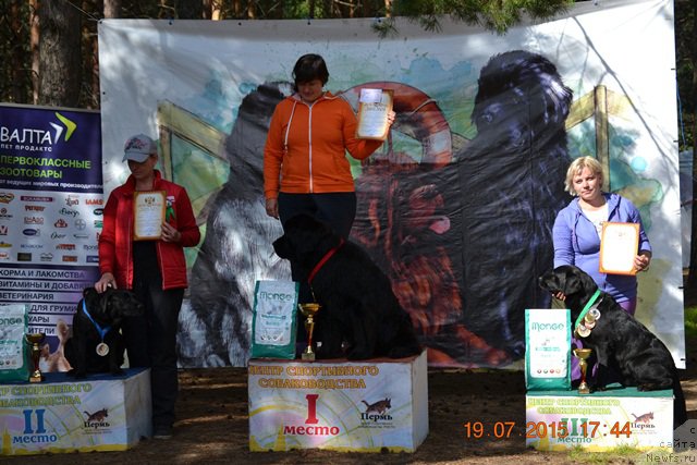 Фото: ньюфаундленд Акватория Келвин Тим Спирит, Ирина Назарова, Юлия Кабакова