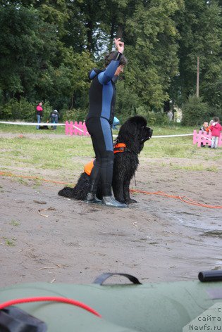 Фотография № 188354