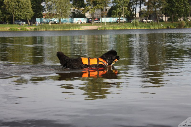 Фотография № 188356