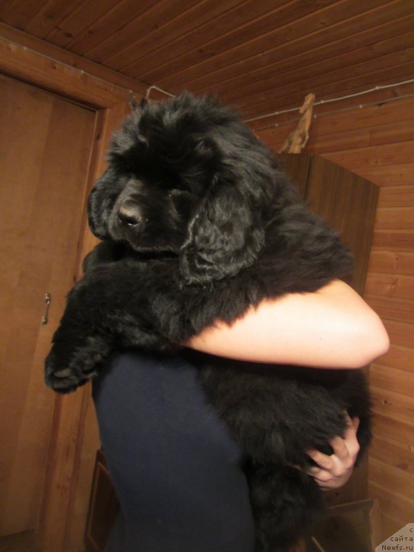 Фото: Наталья Смазчикова