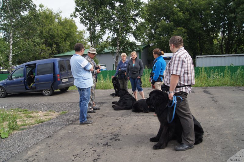 Фотография № 188374