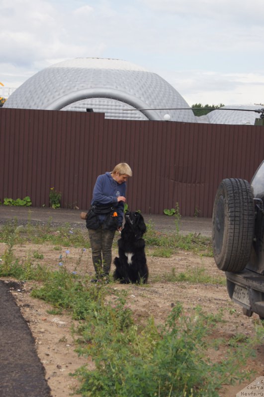 Фотография № 188378