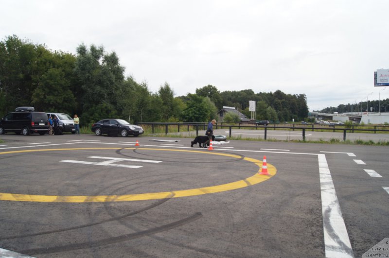 Фотография № 188384