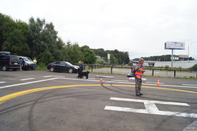 Фотография № 188387