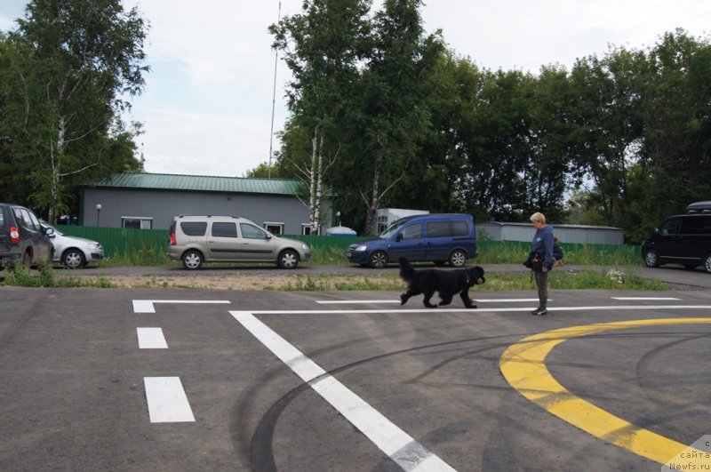 Фотография № 188403