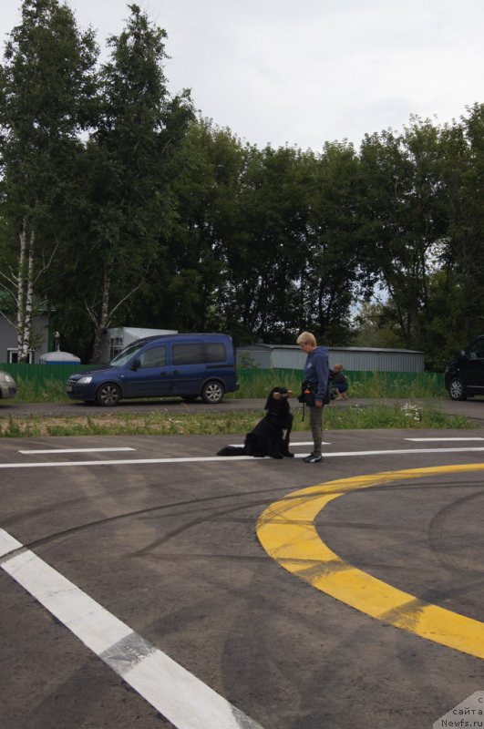 Фотография № 188404