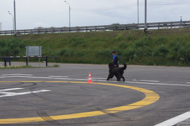 Фотография № 188406