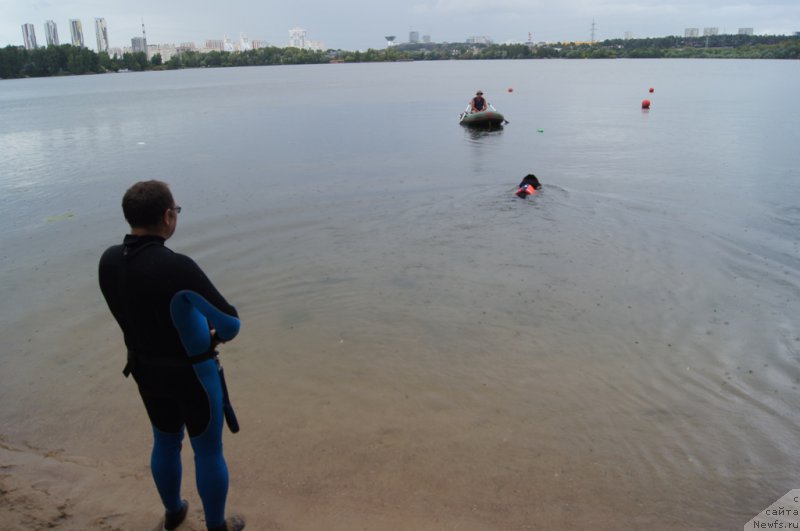 Фотография № 188412