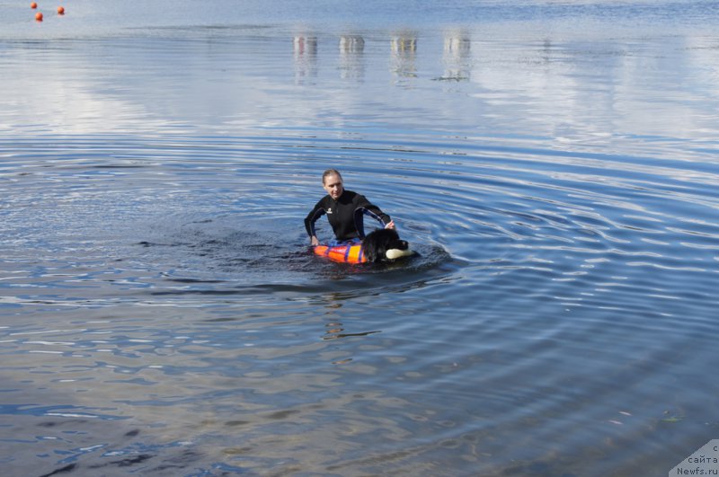 Фотография № 188424