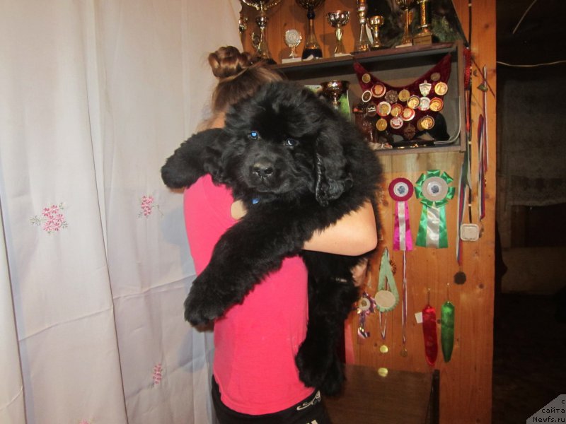 Фото: Наталья Смазчикова