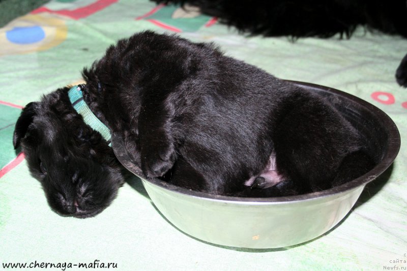 Фотография № 188476