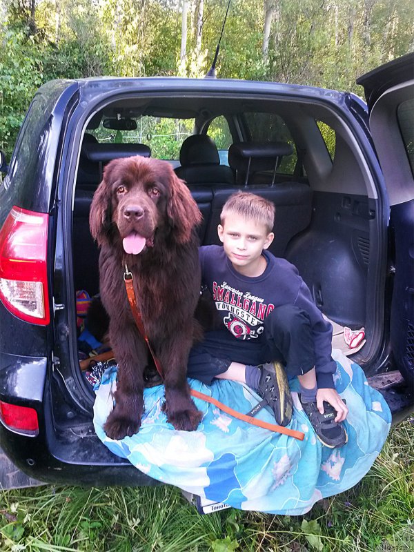 Фотография № 188480