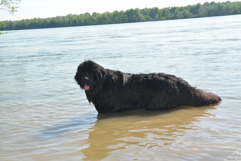 Фотография № 188505