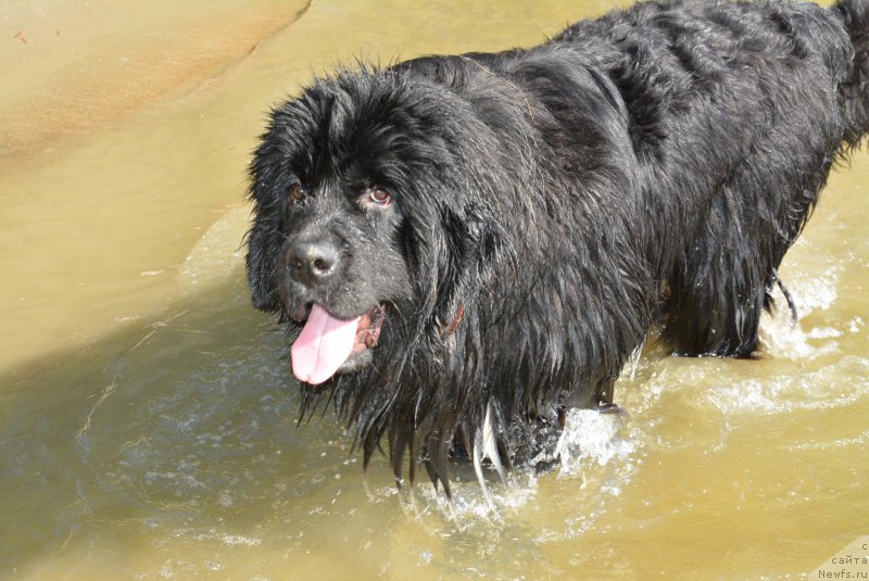 Фотография № 188506