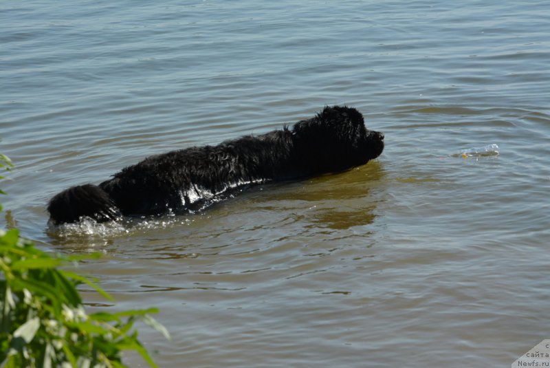 Фотография № 188507