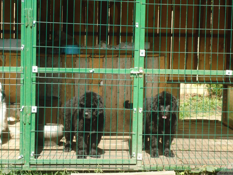 Фотография № 188527