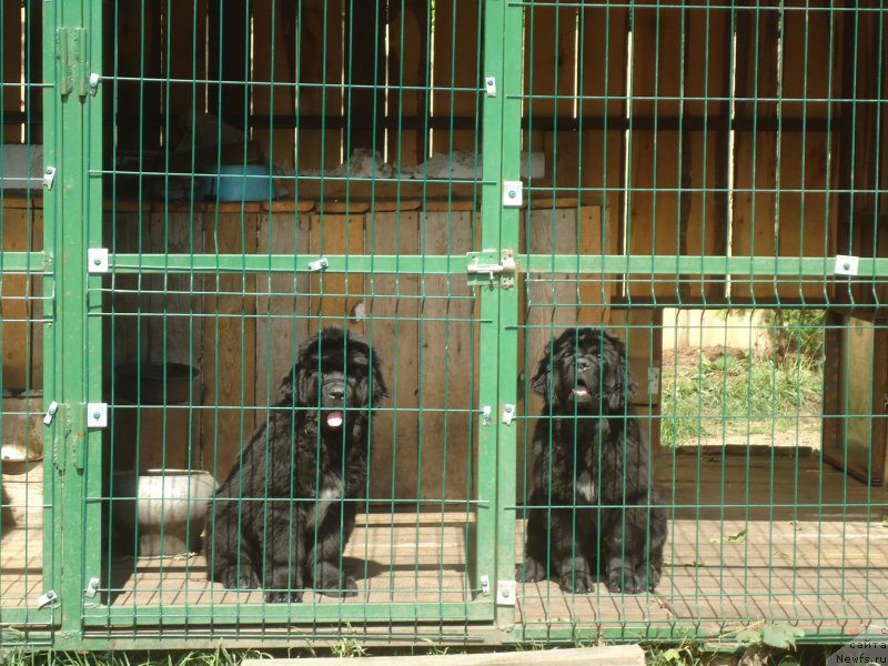 Фотография № 188528