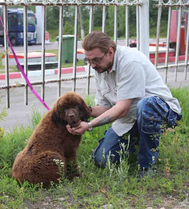 Фотография № 188597