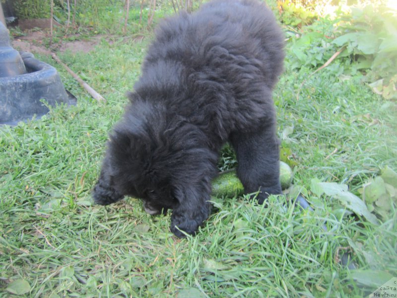 Фото: Наталья Смазчикова