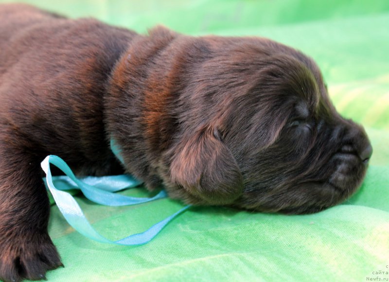 Фотография № 188608