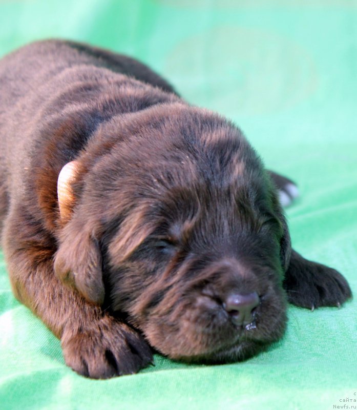 Фотография № 188615