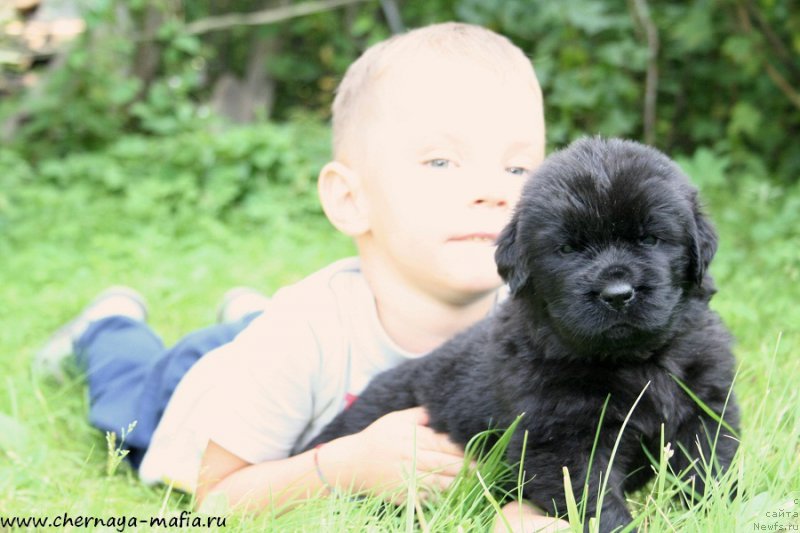 Фотография № 188619